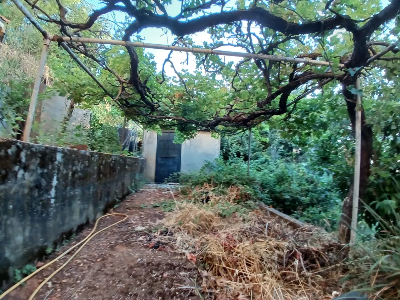Land for Sale in Nabiyeh, Lebanon — الصورة 2