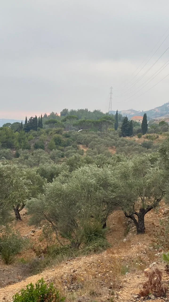 Land for Sale in Deir El Qamar, Lebanon — photo 3