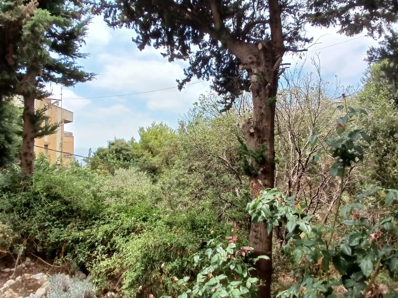 Land for Sale in Rabieh, Lebanon
