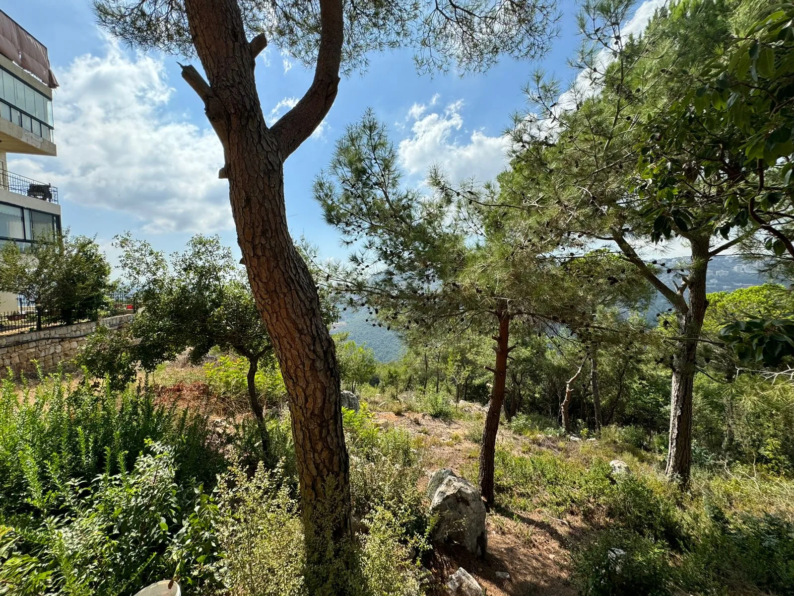 Land for Sale in Qartaba, Lebanon — الصورة 3