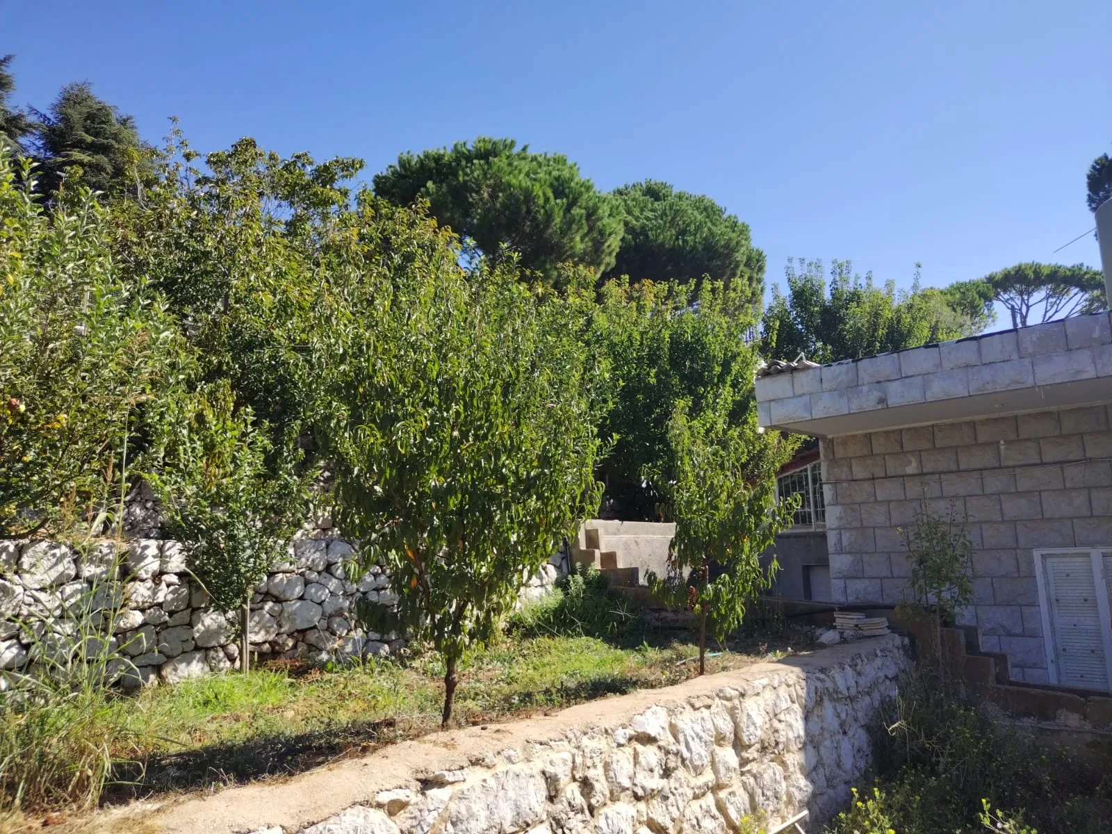 Villa for Sale in Ajaltoun, Lebanon — الصورة 2