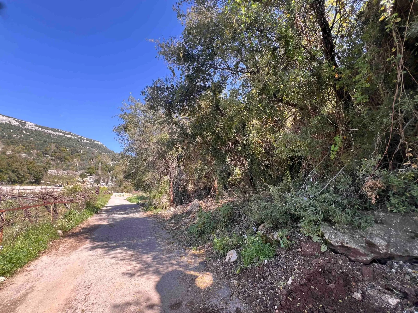 Land for Sale in Lehfed, Lebanon