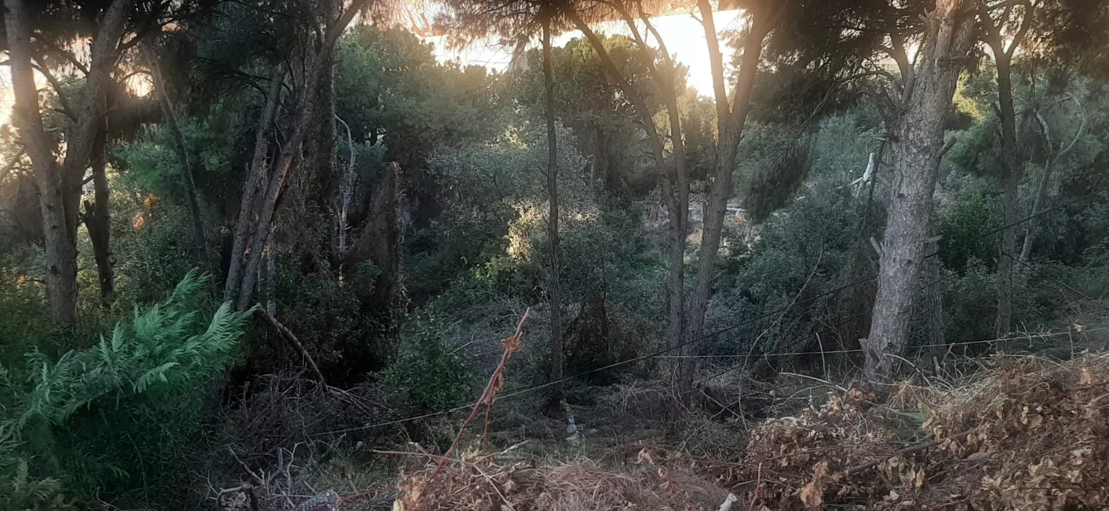 Land for Sale in Aaoukar, Lebanon