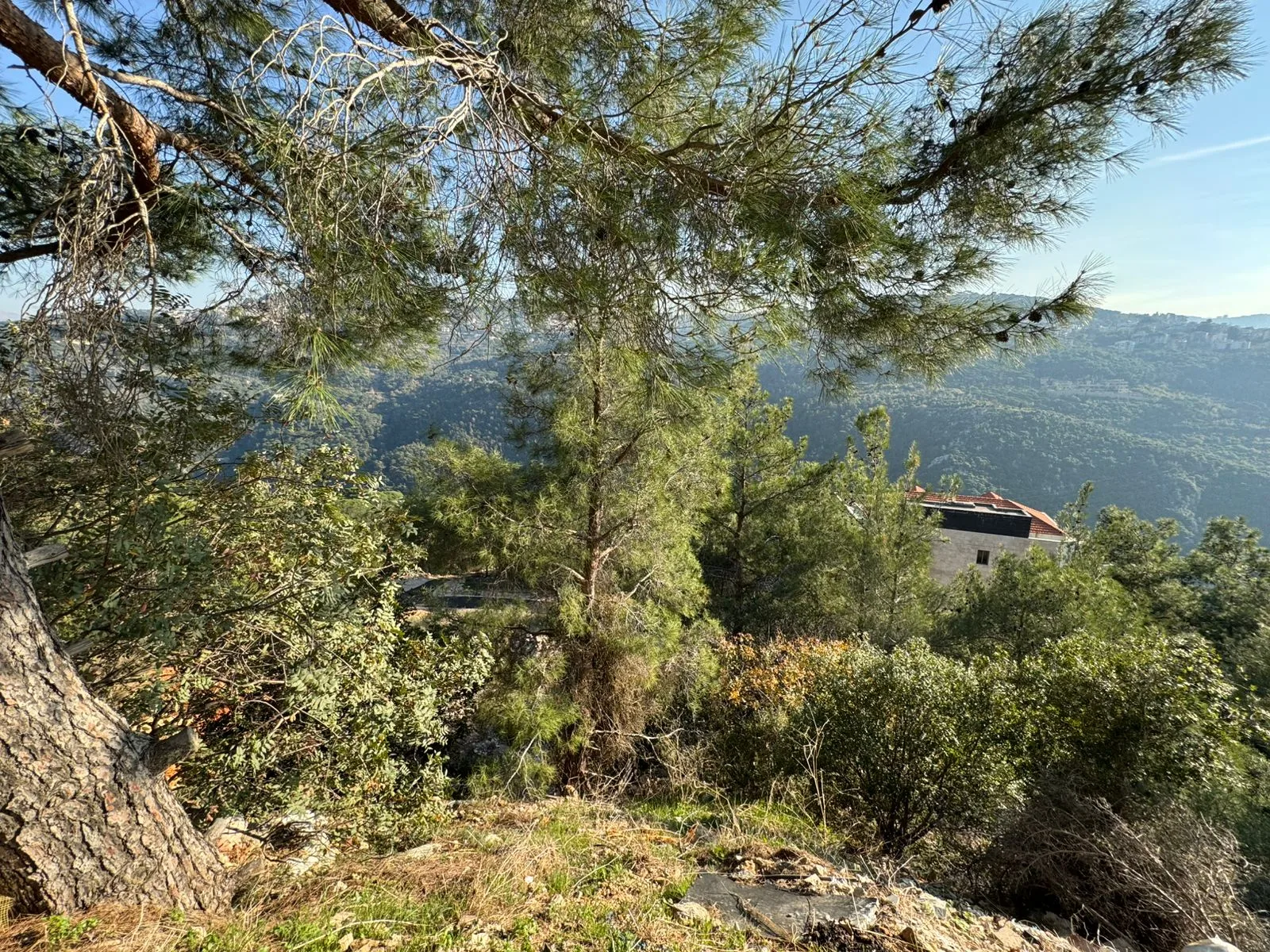 Land for Sale in Montiverdi, Lebanon — الصورة 2