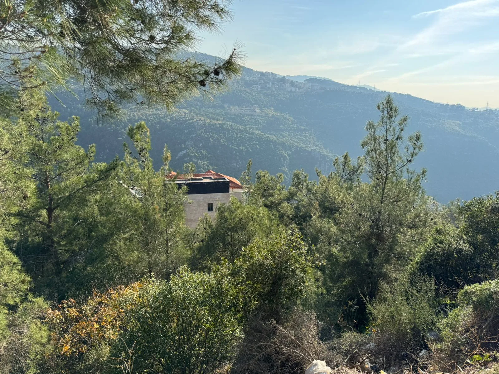Land for Sale in Montiverdi, Lebanon — الصورة 3