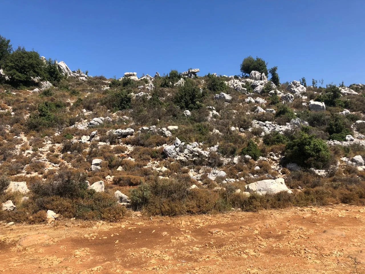Land for Sale in Lehfed, Lebanon