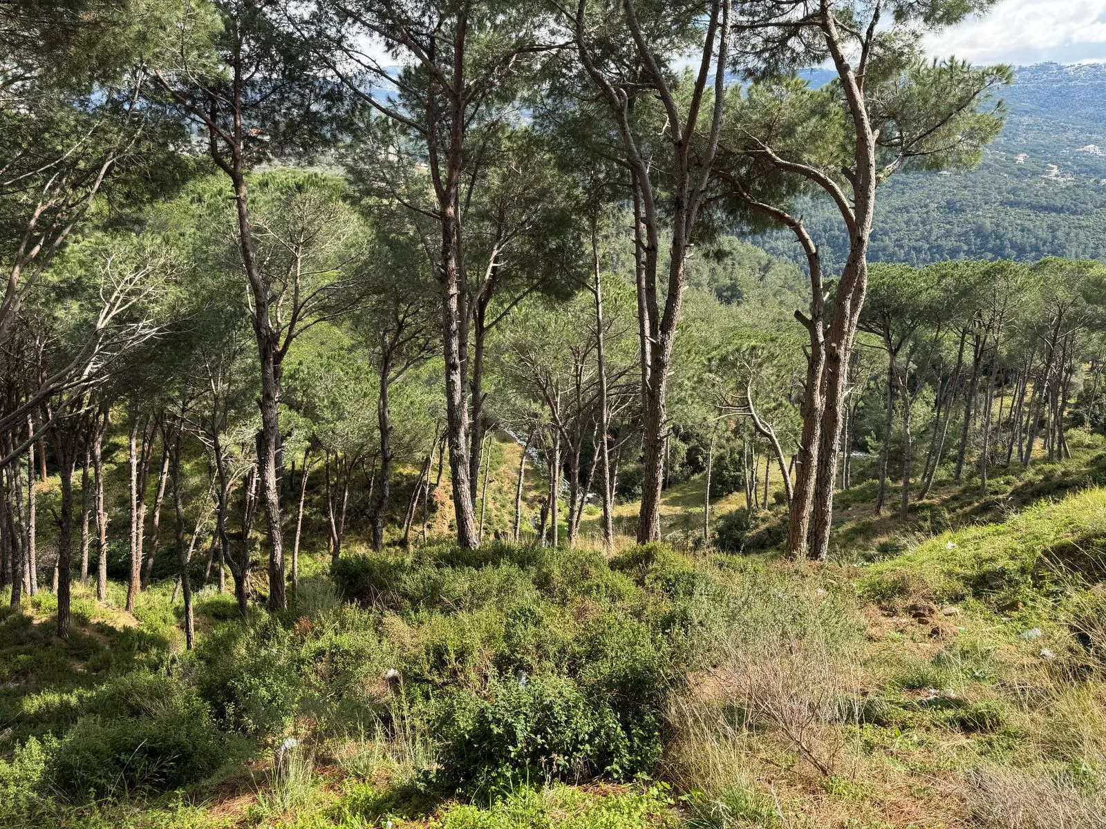 Land for Sale in Broummana, Lebanon — الصورة 2