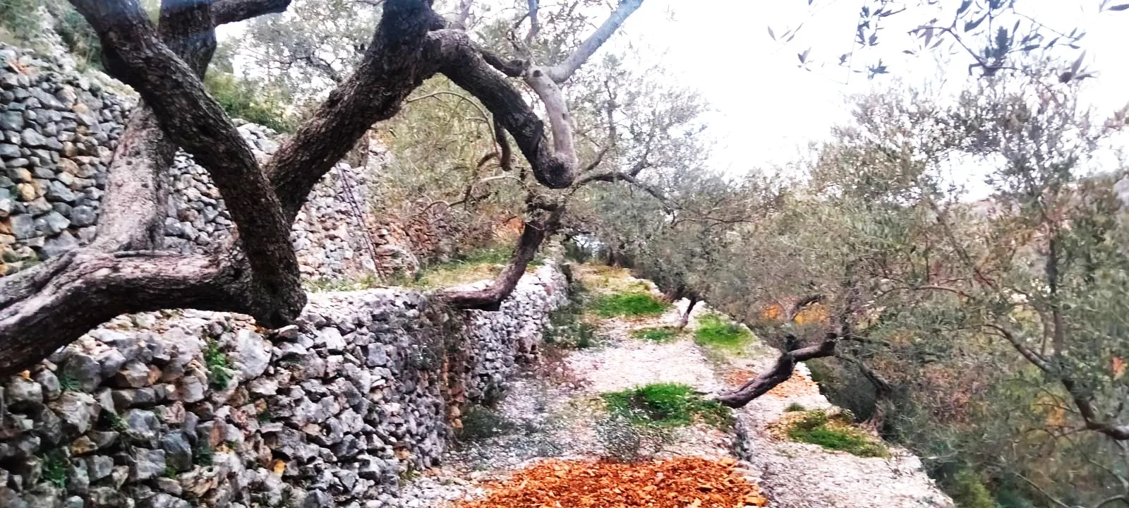 Land for Sale in Chabtine, Lebanon