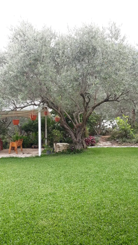 Villa for Sale in Yahchouch, Lebanon — الصورة 2