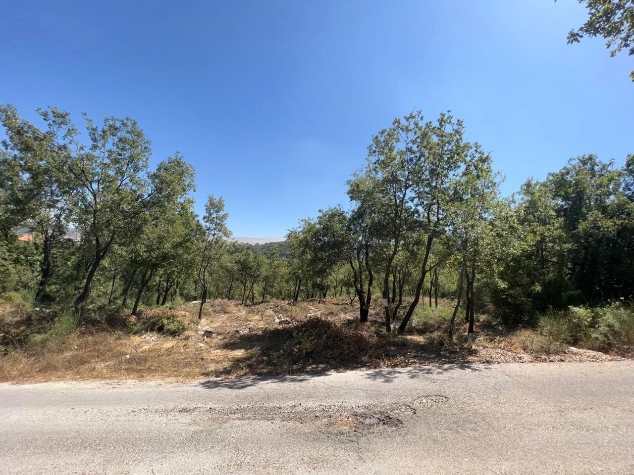 Land for Sale in Baskinta, Lebanon