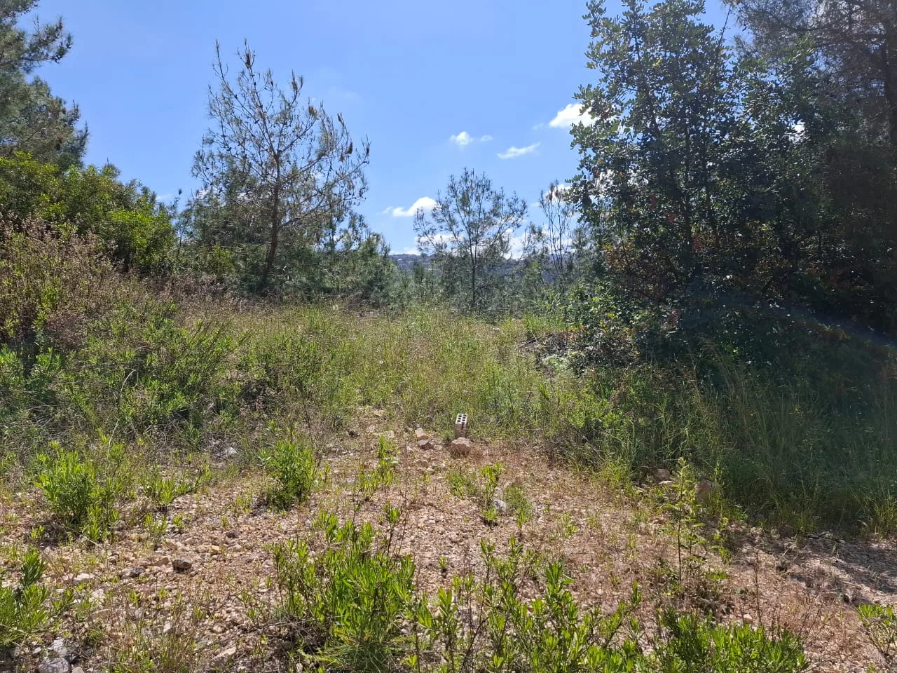 Land for Sale in Harissa, Lebanon