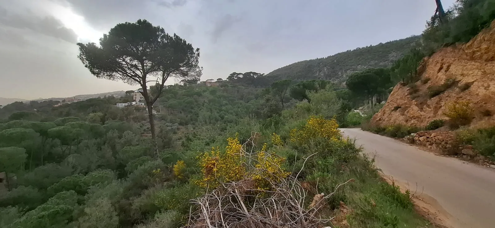 Land for Sale in Baabdat, Lebanon — الصورة 1