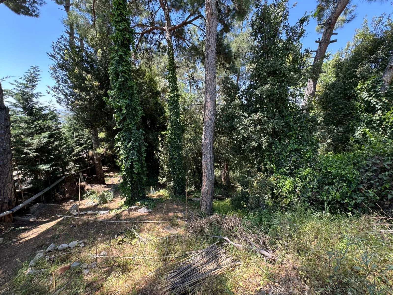 Land for Sale in Baabdat, Lebanon — photo 2