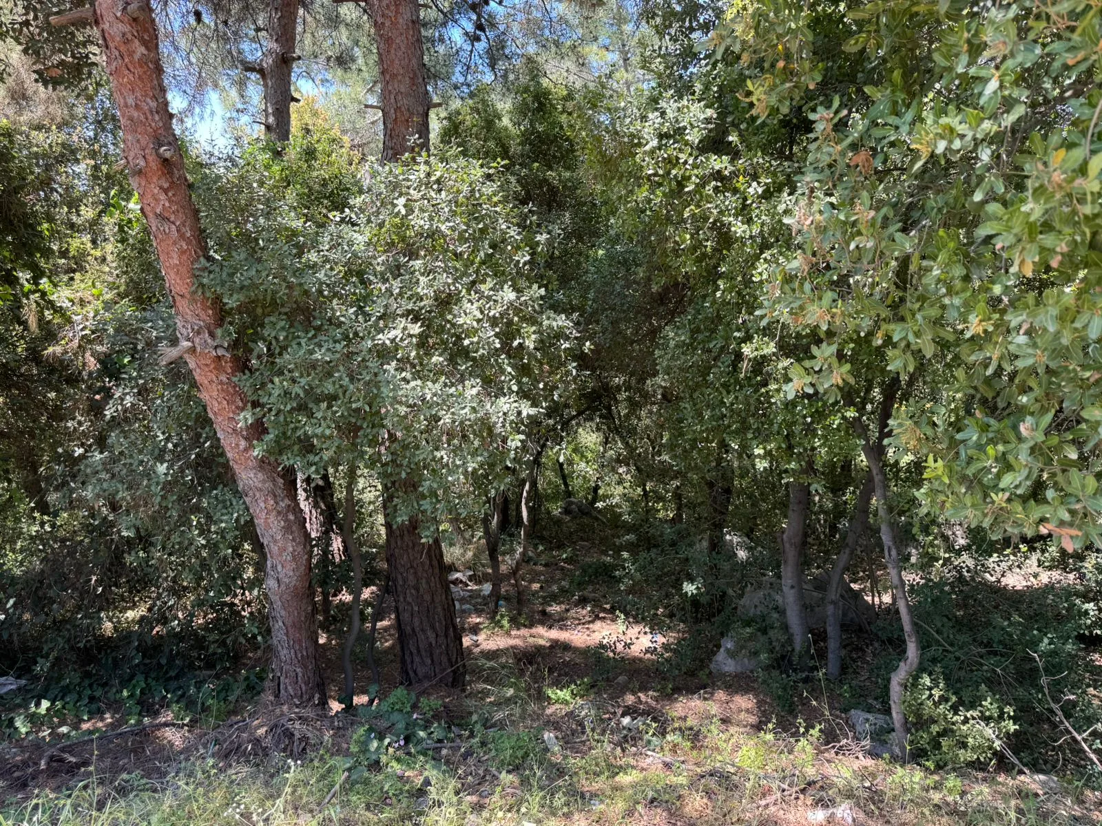 Land for Sale in Baabdat, Lebanon — photo 3