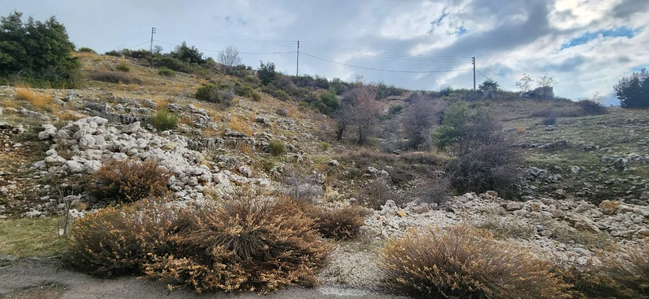 Land for Sale in Zaarour, Lebanon