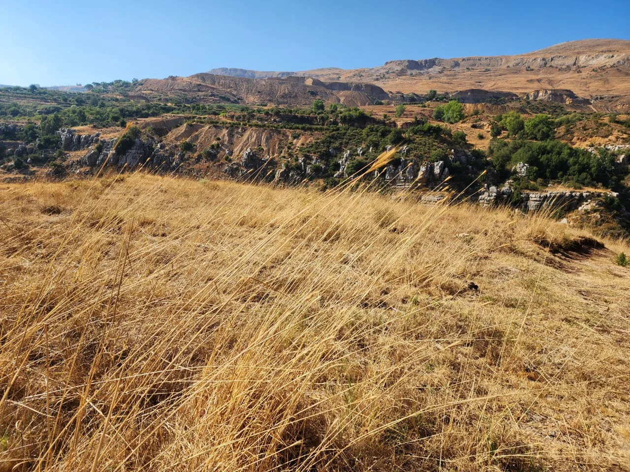Land for Sale in Majdal Tarchich, Lebanon