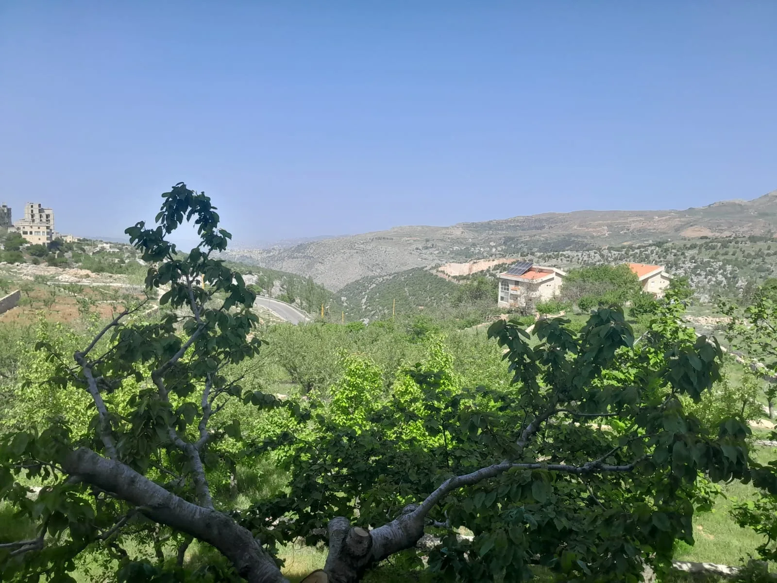 Land for Sale in Majdal Tarchich, Lebanon — photo 3