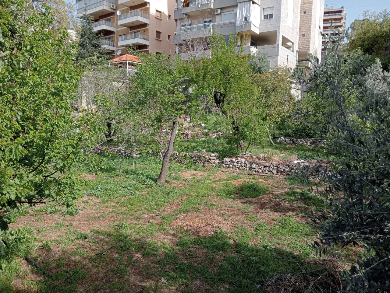 Land for Rent in Ballouneh, Lebanon — الصورة 2