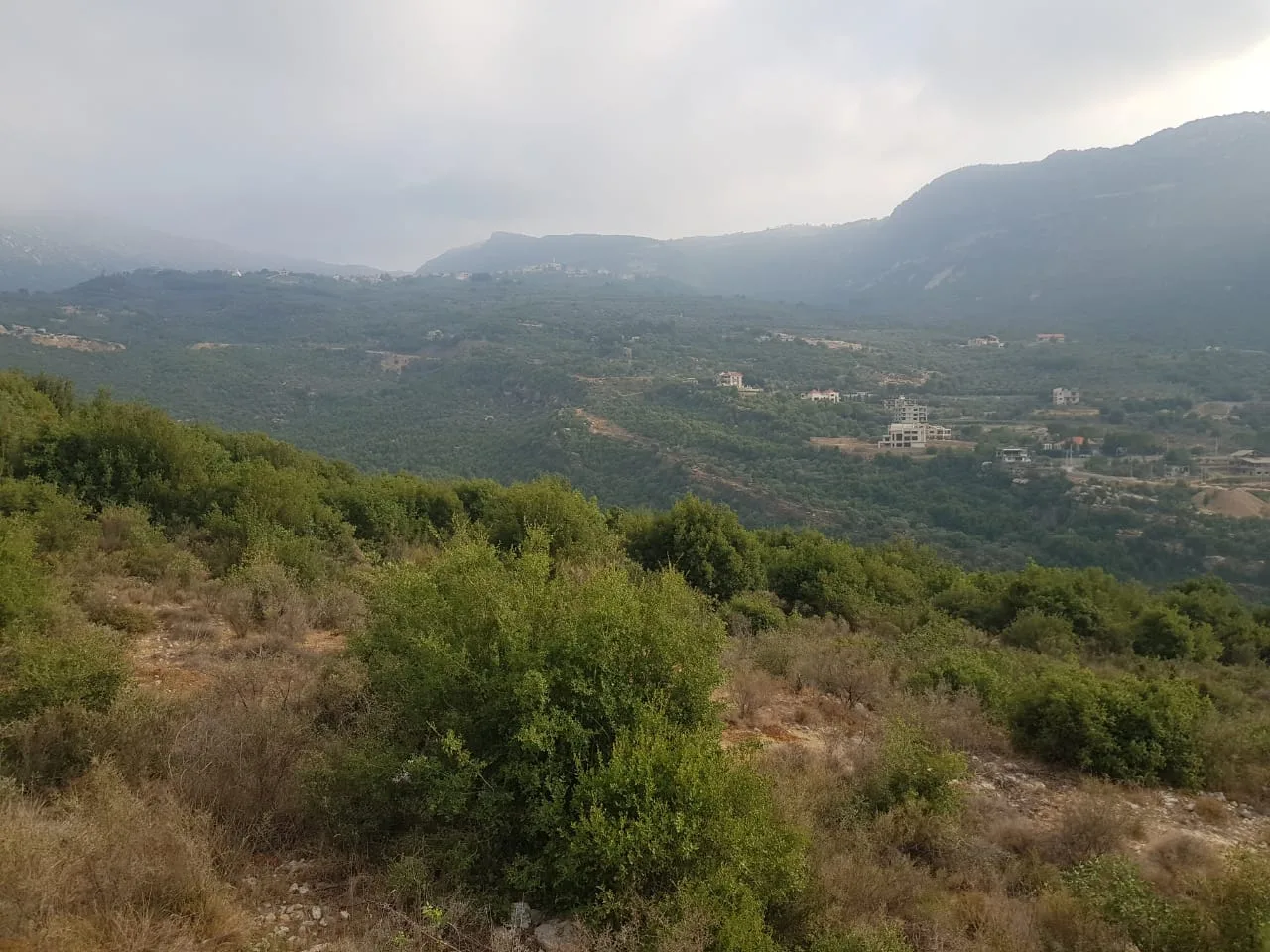 Land for Sale in Kfar Helda, Lebanon — الصورة 2