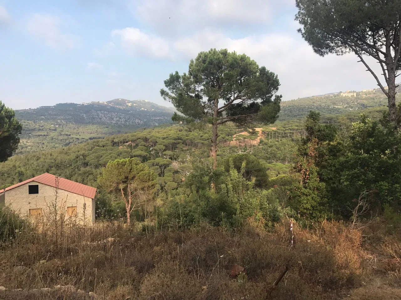 Land for Sale in Ras El Matn — الصورة 3