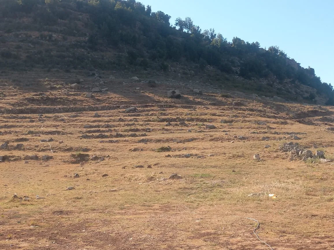 Land for Sale in Ehmej, Lebanon — الصورة 4