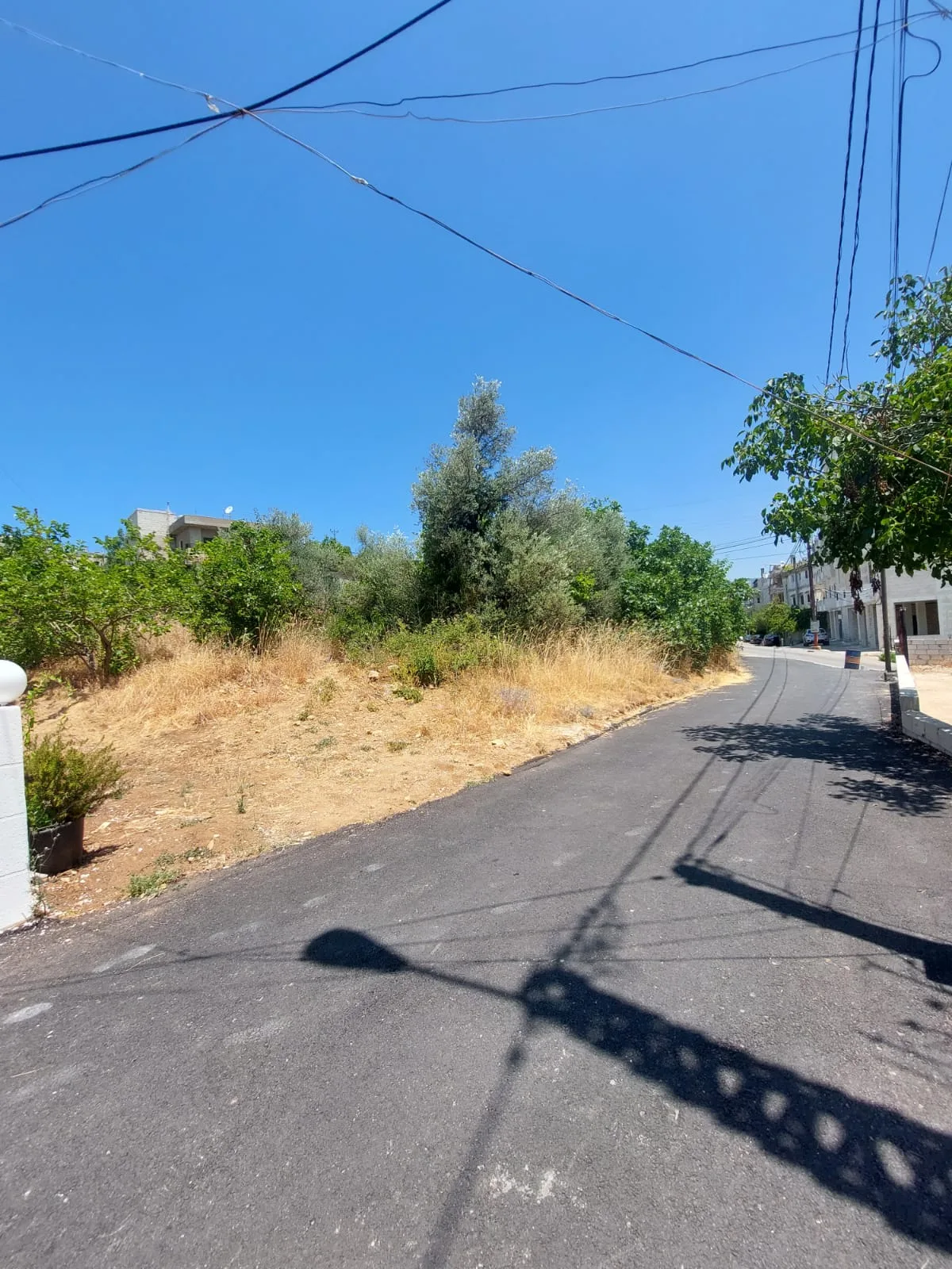 Land for Sale in Qlayaat, Lebanon — الصورة 4
