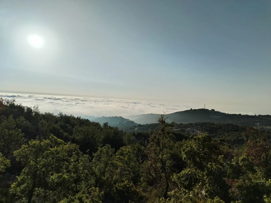Land for Sale in Mechmech, Lebanon