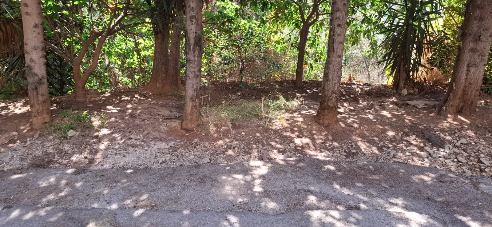 Land for Sale in Dik El Mehdi, Lebanon — الصورة 3
