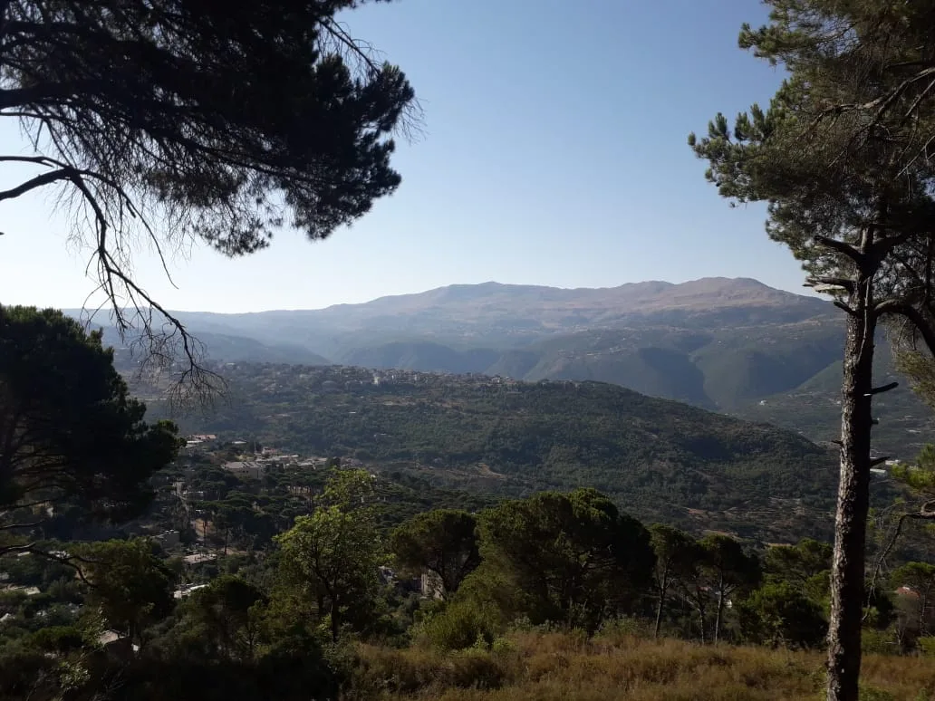 Land for Sale in Choueir, Lebanon — الصورة 2