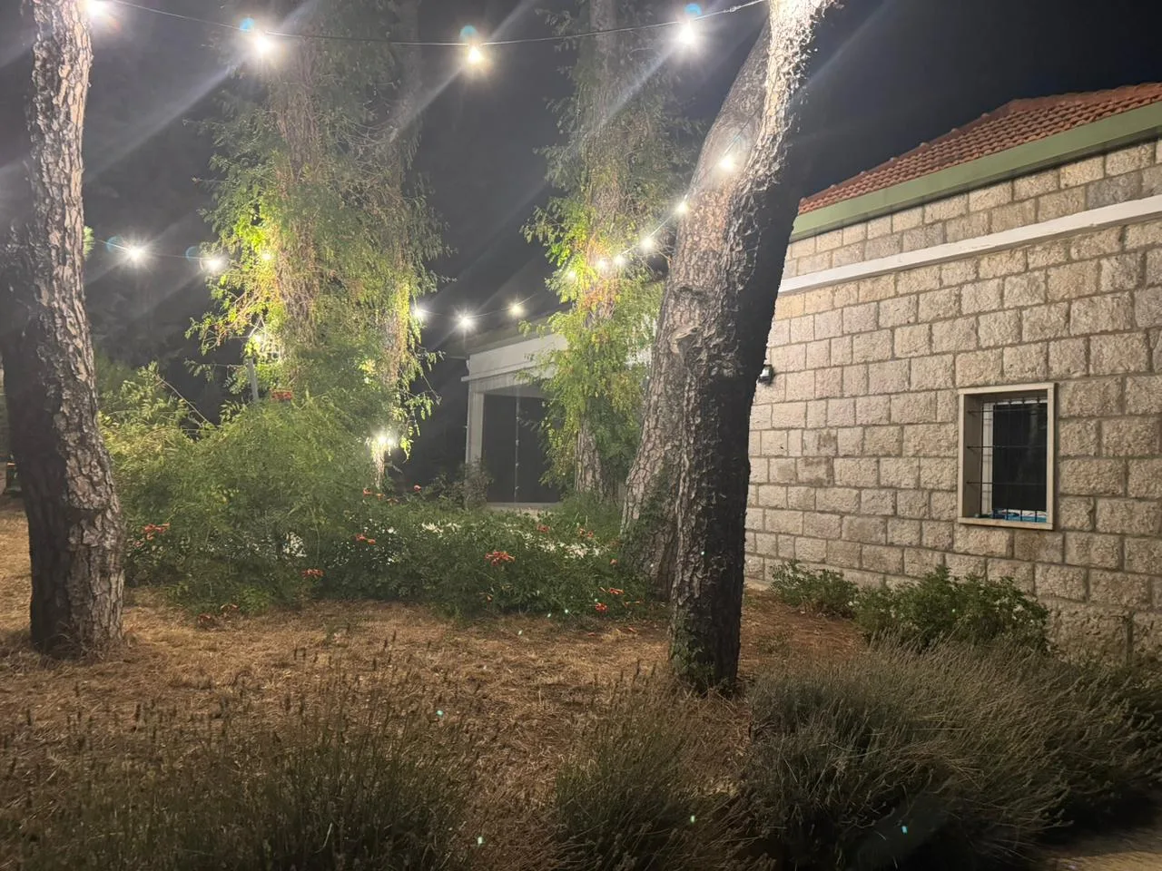 House for rent in Bolonia, Mrouj — photo 6