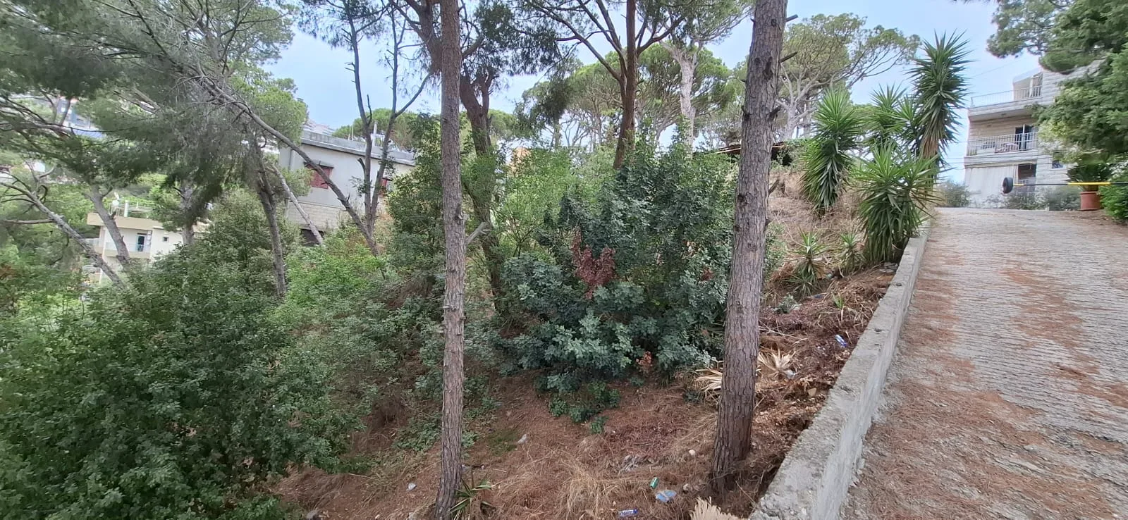 Land for Sale in Nabiyeh, Lebanon