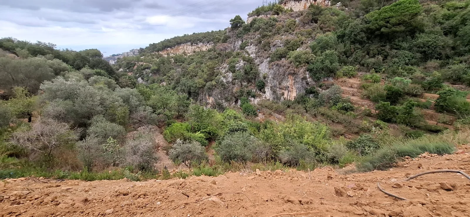 Land for Sale in Nabiyeh, Lebanon — الصورة 2