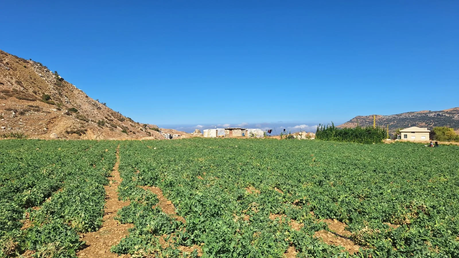 Land for Sale in Zaarour, Lebanon