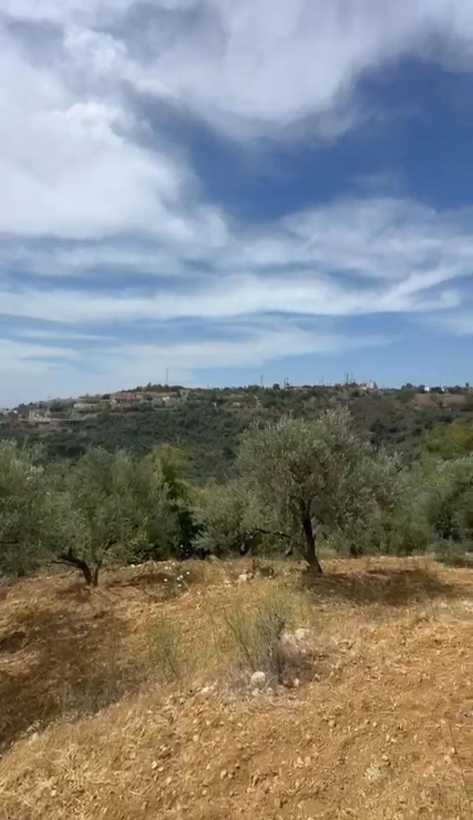 Land for Sale in Bsous, Lebanon — الصورة 6