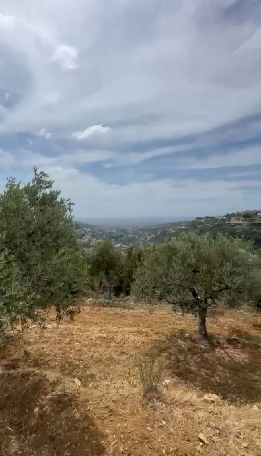 Land for Sale in Bsous, Lebanon — الصورة 2