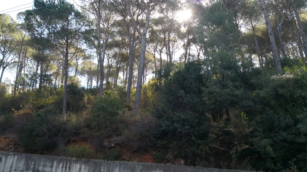 Land for Sale in Zandouqah, Lebanon