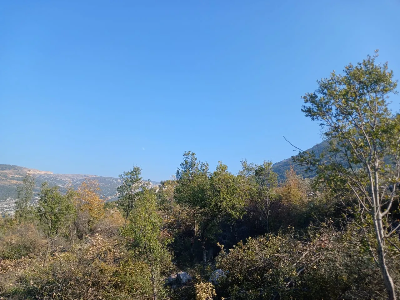 Land for Sale in Douma, Lebanon — الصورة 4