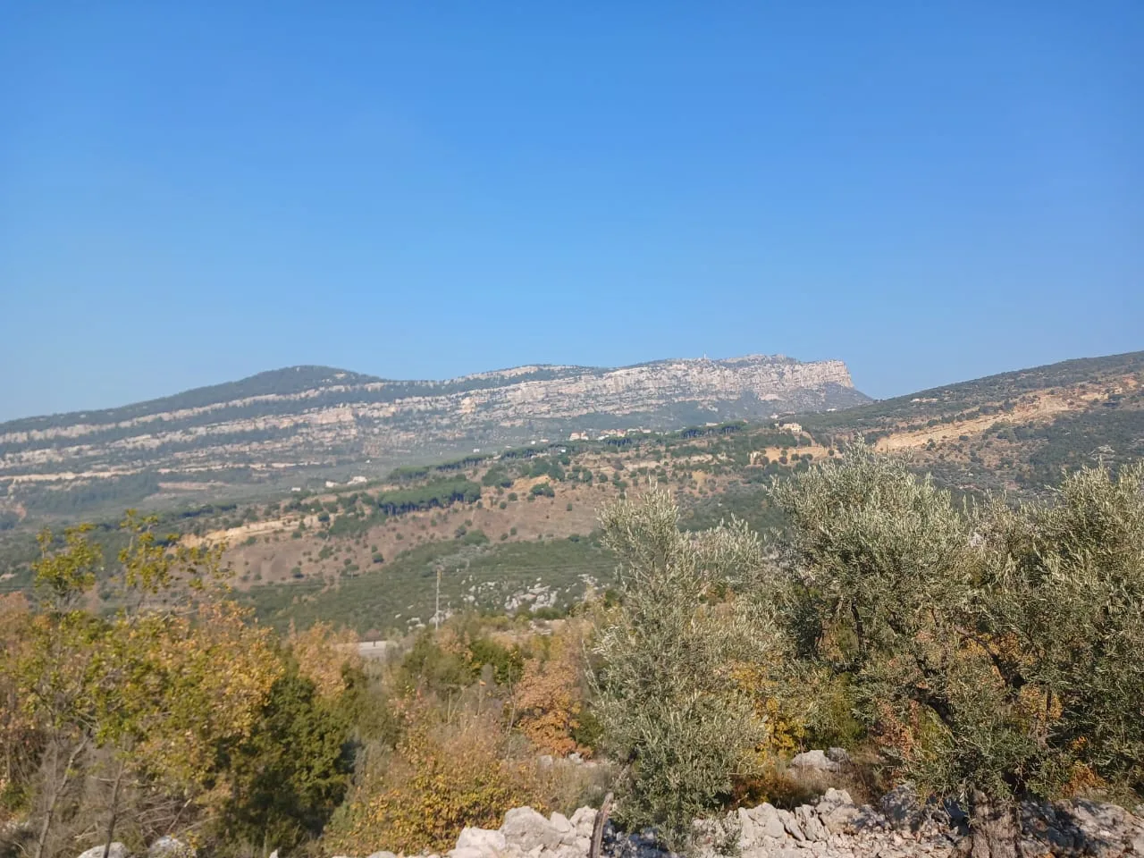 Land for Sale in Douma, Lebanon — الصورة 5