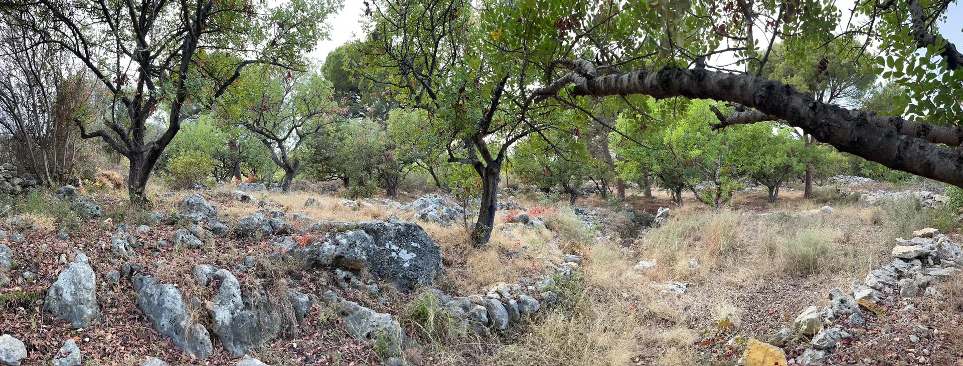 Land for Sale in Chikhane
