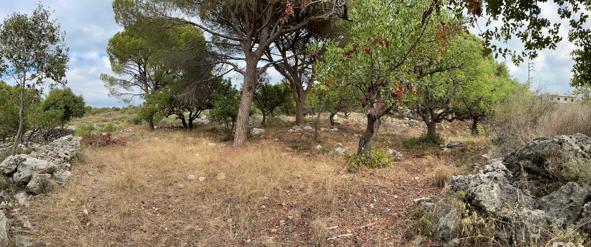 Land for Sale in Chikhane — الصورة 2