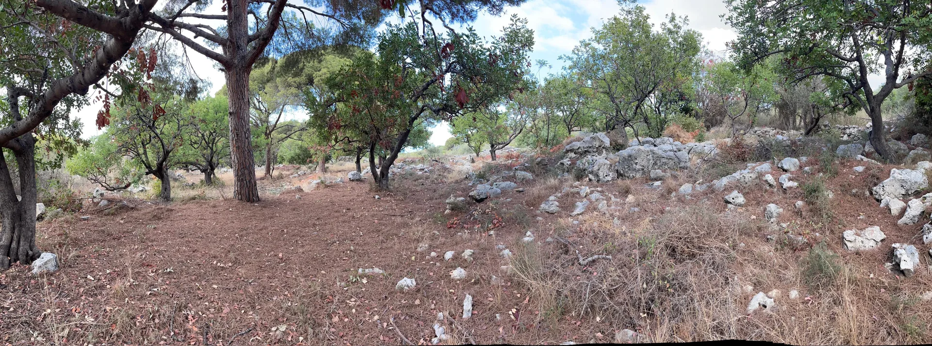 Land for Sale in Chikhane — الصورة 3