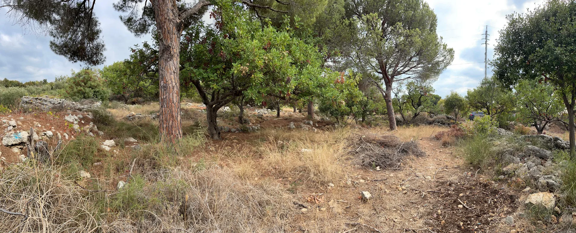 Land for Sale in Chikhane — الصورة 4