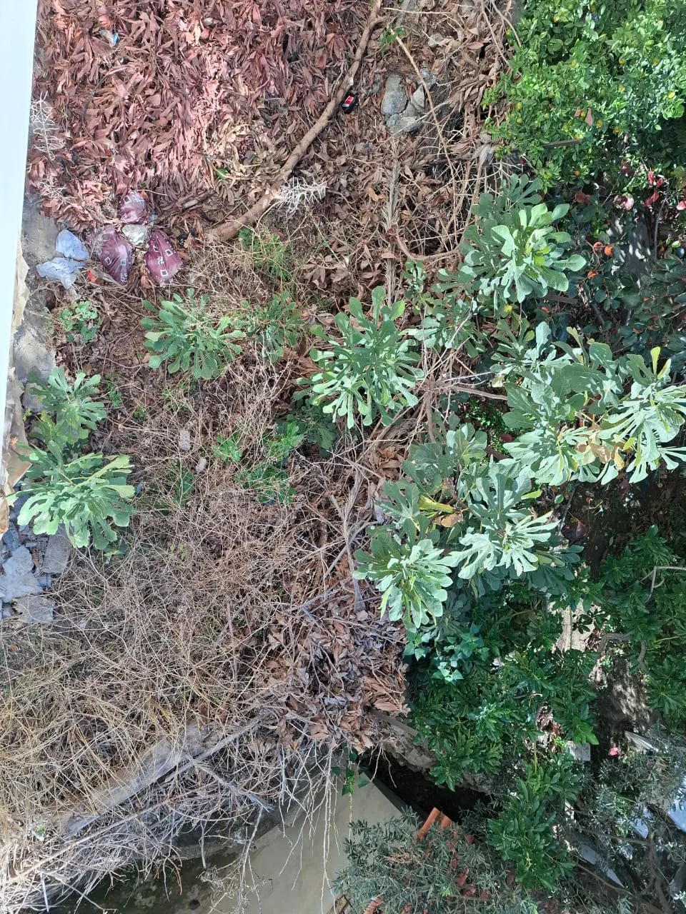 Apartment for Sale in Ghazir, Lebanon — الصورة 4