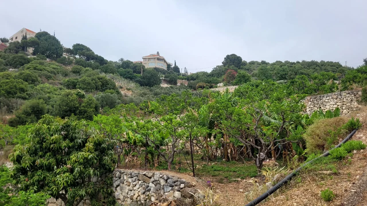Land for Sale in Berbara, Lebanon — الصورة 2