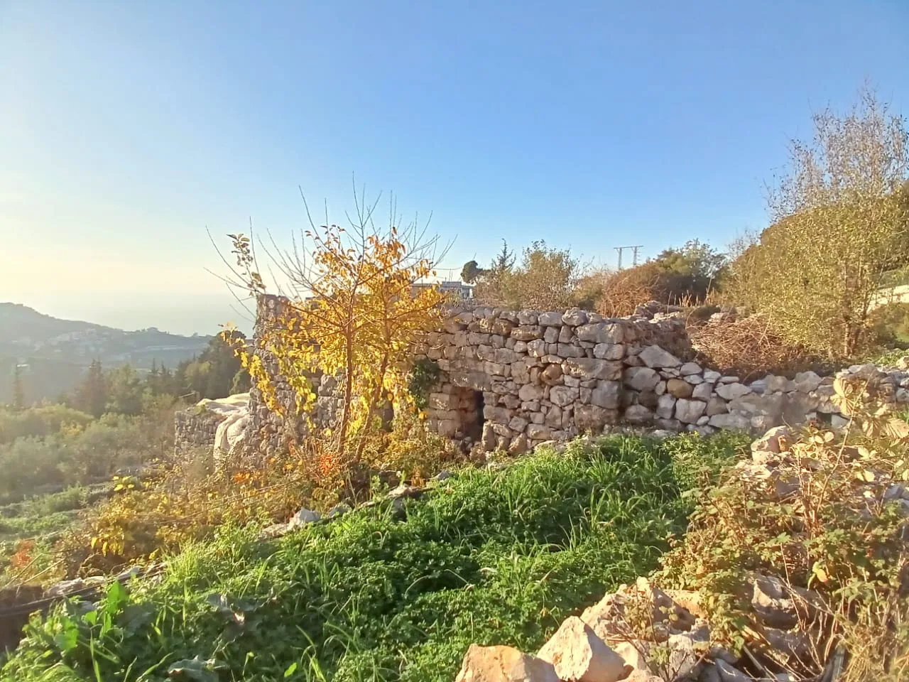 Land for Sale in Ghadras, Lebanon — الصورة 4