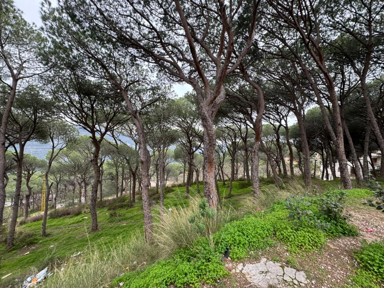 Land for Sale in Broummana, Lebanon