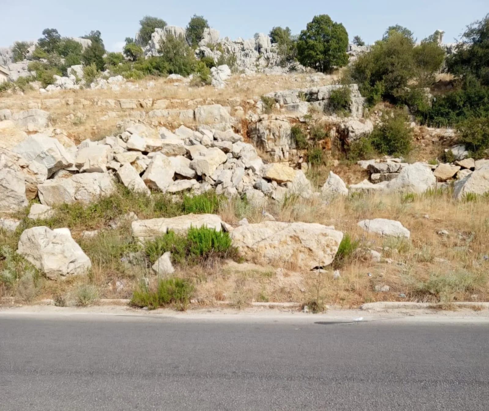 Land for Sale in Majdal Tarchich, Lebanon