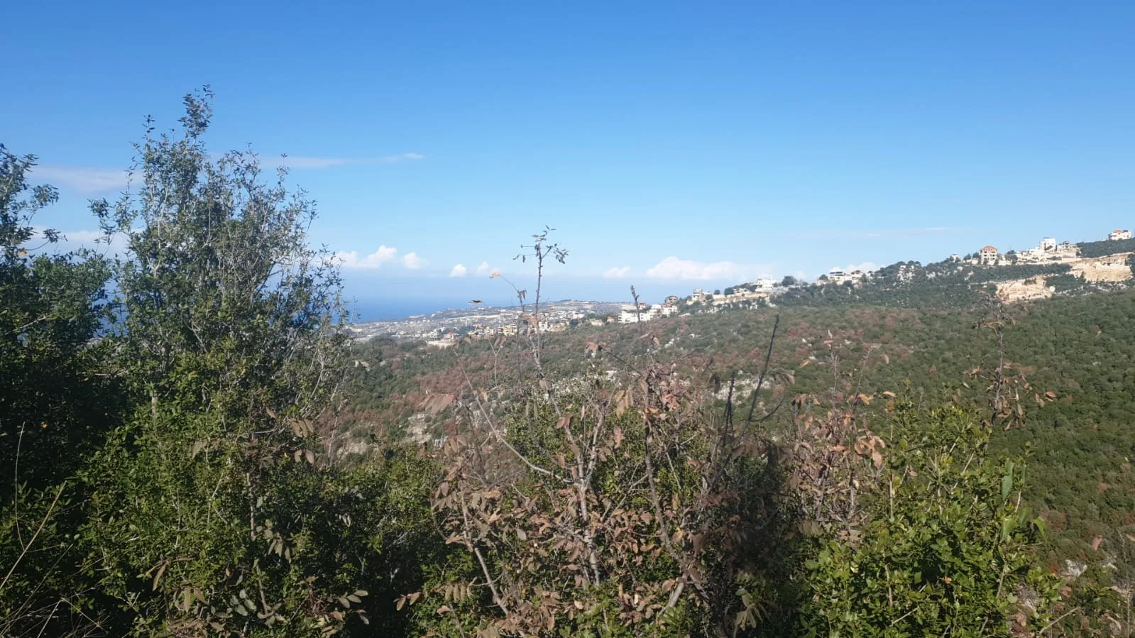 Land for Sale in Habboub, Lebanon — الصورة 1