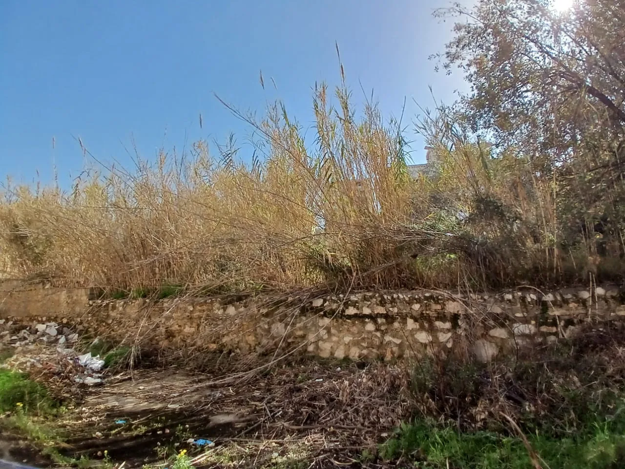 Land for Sale in Mazraat Yachoua, Lebanon — الصورة 2