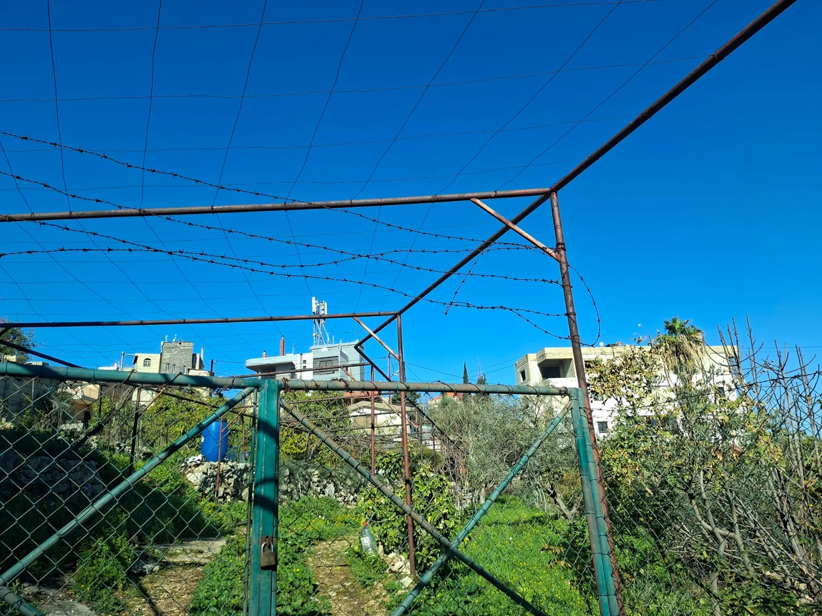 Land for Sale in Habboub